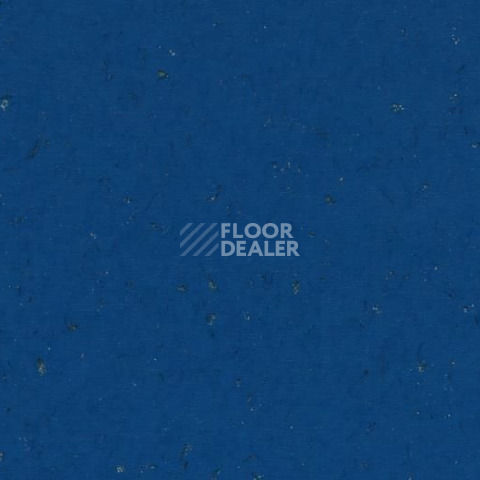 Кварцвиниловые полы Forbo Allura Colour/Colour Plus C68035-651035 marine blue фото 1 | FLOORDEALER